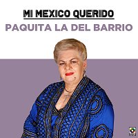 Přední strana obalu CD Mi Mexico Querido