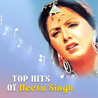 Různí interpreti – Top Hits of Neetu Singh
