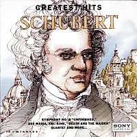 Přední strana obalu CD Greatest Hits: Schubert