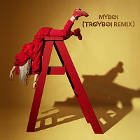 Billie Eilish – MyBoi [TroyBoi Remix]