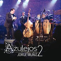 Jorge Muniz – Azulejos 2