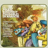 Various  Artists – Polkas, Danzones y Pasodobles en Mariachi
