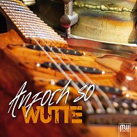 Přední strana obalu CD Anfoch so