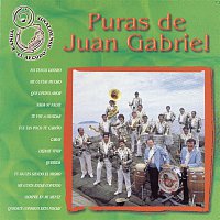 Banda Sinaloense El Recodo De Cruz Lizarraga – Puras de Juan Gabriel