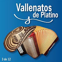 Fiesta Vallenata – Vallenatos De Platino Vol. 3