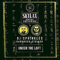 DJ Sprinkles, Hardrock Striker – Skylax House Explosion - Under The Loft