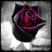 Přední strana obalu CD Metamorphose