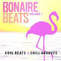 Various  Artists – Bonaire Beats, Vol. 1