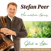 Přední strana obalu CD Glück im Leben - Mein musikalischer Lebensweg - 26 Titel - Instrumental