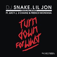 DJ Snake & Lil Jon, Juicy J, 2 Chainz, and French Montana – Turn Down for What