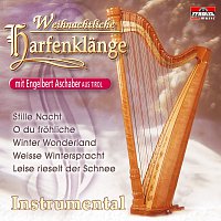 Weihnachtliche Harfenklange mit Engelbert Aschaber