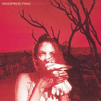 Widespread Panic – Everyday