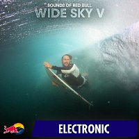 Přední strana obalu CD Wide Sky V