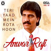 Anwar Rafi – Teri Yaad Mein Rota Hoon, Vol. 22