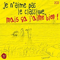 Various  Artists – J'aime pas le classique mais ca j'aime bien