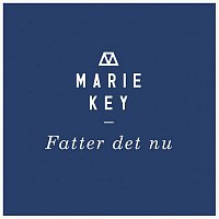 Přední strana obalu CD Fatter Det Nu