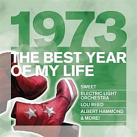 Various  Artists – The Best Year Of My Life: 1973
