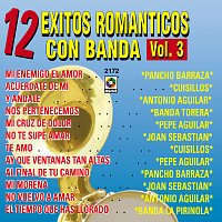 12 Éxitos Románticos Con Banda, Vol. 3
