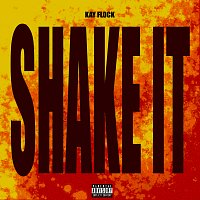Shake It [Instrumental]