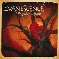 Evanescence – Together Again