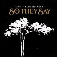 So They Say – Life In Surveillance