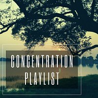 Různí interpreti – Concentration Playlist