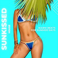 Disco Inferno, Groove Mechanic, Housequake, Funky Fusion, Soul Circuit – Sunkissed House: Warm Beats for Summer Days