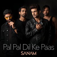 Sanam – Pal Pal Dil Ke Paas