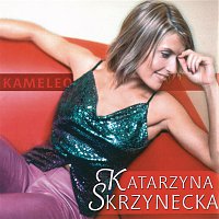 Přední strana obalu CD Kameleo