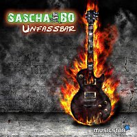 Sascha Bo – Unfassbar