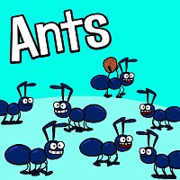Hooray Kids Songs – Ants