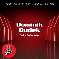Dominik Dudek – Wydaje Się