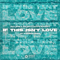 Jack Wins x 220 KID – If This Isn't Love (feat. Caitlyn Scarlett) [Jay Robinson Remix] [Extended Mix]