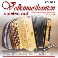 Různí interpreti – Volksmusikanten spielen auf ... mit der Steirischen Harmonika