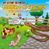 Die kleine Schnecke Monika Hauschen – 68: Warum blinzeln Blindschleichen?