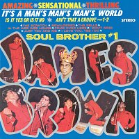 James Brown & The Famous Flames – It's A Man's Man's Man's World