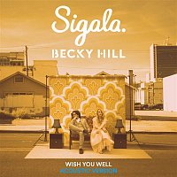 Sigala & Becky Hill – Wish You Well (Acoustic)