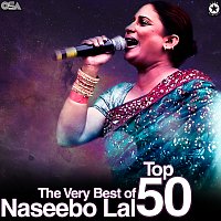 Naseebo Lal – The Very Best Of Naseebo Lal - Top 50