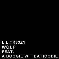 Přední strana obalu CD Wolf