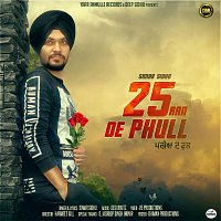 Přední strana obalu CD 25aan De Phull