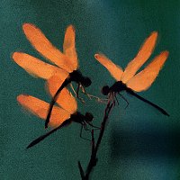 SOXX, 00ab – Falling