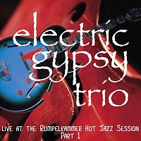 Electric Gypsy Trio (Kalu, Moro, Steven Saskavanian) – Live at the Rumpelkammer Hot Jazz Session Part 1