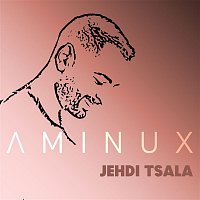Přední strana obalu CD Jehdi Tsala