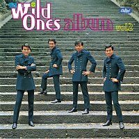 Přední strana obalu CD The Wild Ones Album Dainisyu