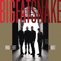 Big Fat Snake – What Is Left Is Right