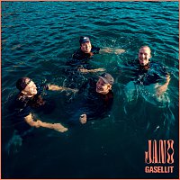Gasellit – Jano