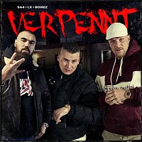 187 Strassenbande, Bonez MC, LX, Sa4 – Verpennt