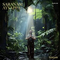 Siddarth – Saranam Ayyappa