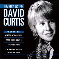 Přední strana obalu CD The Very Best Of David Curtis