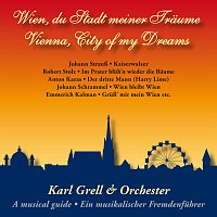 Přední strana obalu CD Vienna, City Of My Dreams - Wien, Stadt meiner Traume